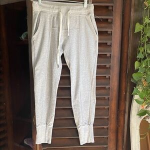 NSF Gray Like New EUC Jogger Pants Small